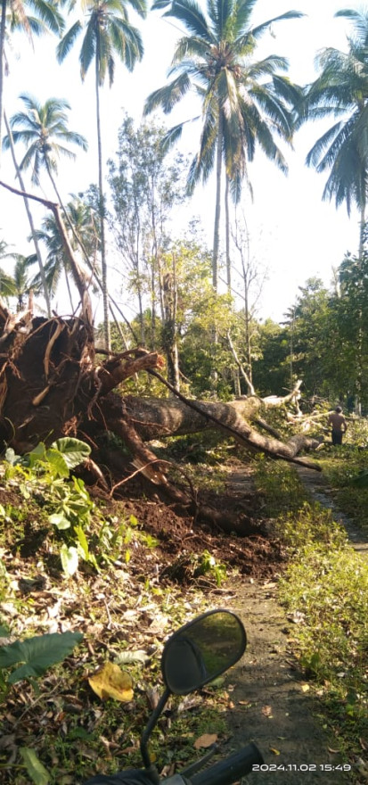 Hujan Badai